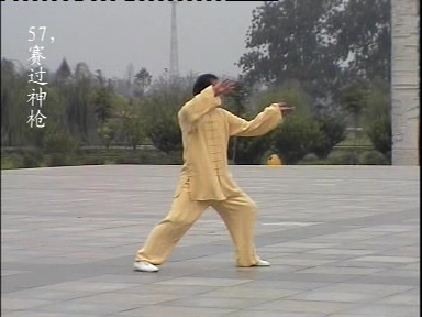 各式太极拳-太极扇-太极剑 爱好者必备 【陈氏太极长拳108式-王振华】200M DAT 视频教程