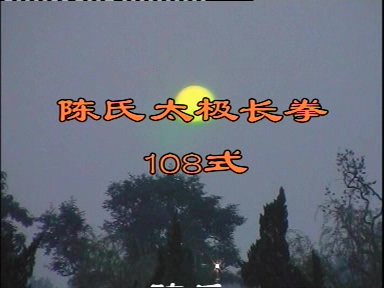 各式太极拳-太极扇-太极剑 爱好者必备 【陈氏太极长拳108式-王振华】200M DAT 视频教程