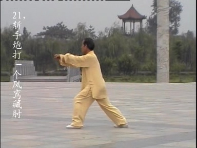 各式太极拳-太极扇-太极剑 爱好者必备 【陈氏太极长拳108式-王振华】200M DAT 视频教程
