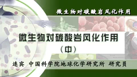 中国科学院 微生物对碳酸岩风化作用 全3讲 主讲-连宾 视频教程