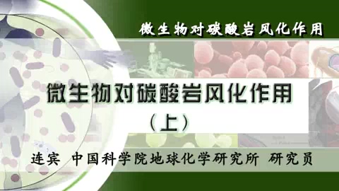 中国科学院 微生物对碳酸岩风化作用 全3讲 主讲-连宾 视频教程