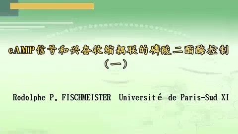 Université de Paris-Sud XI cAMP信号和兴奋收缩耦联的磷酸二酯酶控制 全3讲 主讲-Rodolphe 视频教程