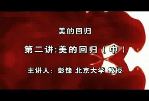 北京大学 美的回归 全3讲 主讲-彭锋 视频教程