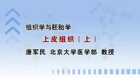 北京大学 组织学与胚胎学 全26讲 主讲-唐军民 视频教程
