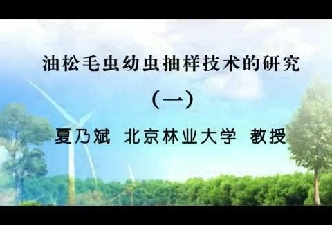 北京林业大学 油松毛虫幼虫抽样技术的研究 全5讲 主讲-夏乃斌 视频教程
