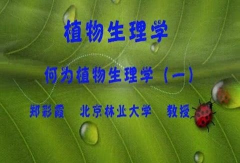 北京林业大学 植物生理学 全86讲 主讲-郑彩霞 视频教程