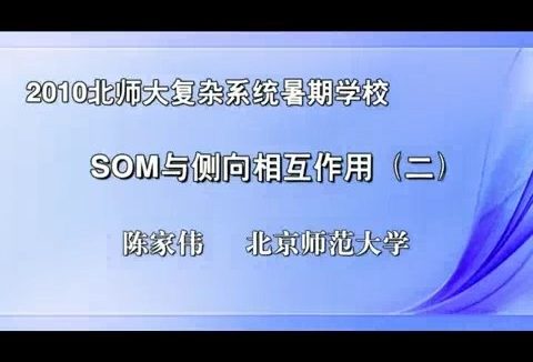 北京师范大学 Som与侧向相互作用 全2讲 主讲-陈家伟 视频教程