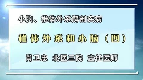 北京大学 小脑.椎体外系解剖疾病 全4讲 主讲-肖卫忠 视频教程
