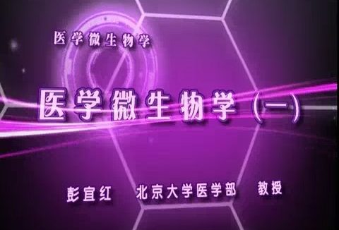 北京大学 医学微生物学 全14讲 主讲-彭宜红 视频教程