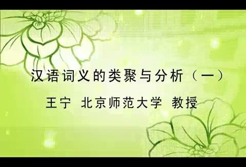 北京师范大学 汉语词义的类聚与分析 全7讲 主讲-王宁 视频教程