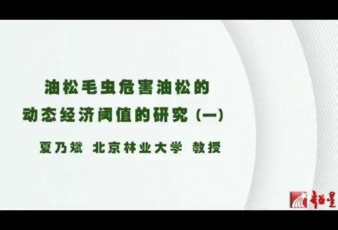 北京林业大学 油松毛虫危害油松的动态经济阈值的研究 全6讲 主讲-夏乃斌 视频教程