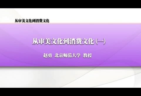 北京师范大学 从审美文化到消费文化 全6讲 主讲-赵勇 视频教程