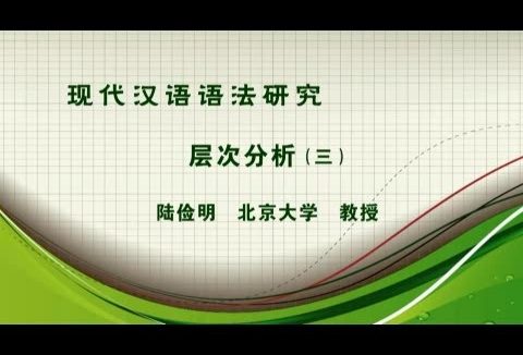 北京大学 现代汉语语法研究 全75讲 主讲-陆俭明 视频教程