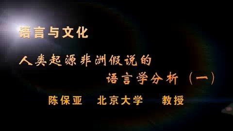 北京大学 语言与文化 全33讲 主讲-陈保亚 视频教程