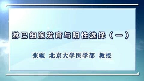 北京大学 淋巴细胞发育与阴性选择 全4讲 主讲-张毓 视频教程