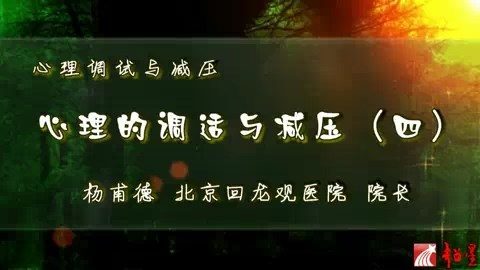 北京回龙观医院 心理的调试与减压 全4讲 主讲-杨甫德 视频教程