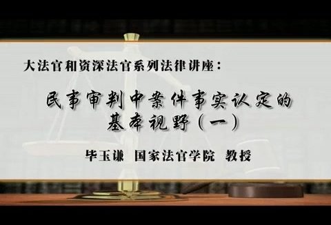 国家法官学院 大法官和资深法官系列法律讲座 全6讲 主讲-毕玉谦 视频教程