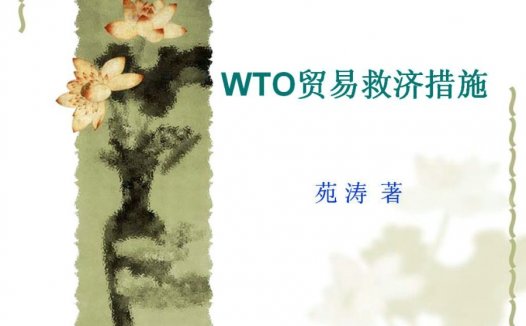 南开大学 WTO经济学专题 全36讲 视频教程