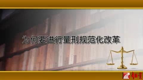 国家法官学院 大法官和资深法官系列法律讲座-量刑规范化改革 全7讲 主讲-高憬宏 视频教程