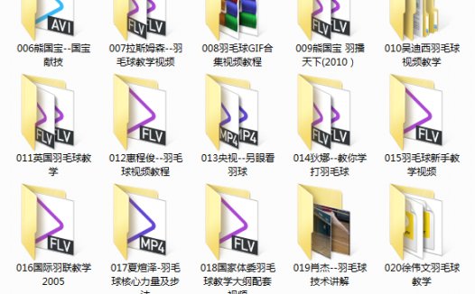羽毛球视频教程合集(24套) 网内最全的羽毛球教学大全