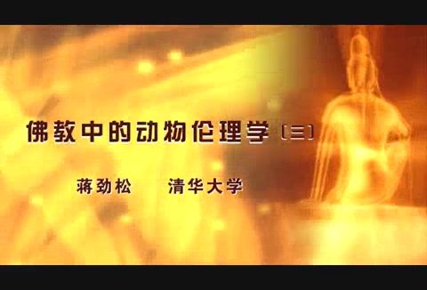 清华大学 佛教中的动物伦理学 全5讲 主讲-蒋劲松 视频教程
