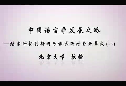 清华大学 中国语言学发展之路-继承开拓创新国际学术研讨会 全125讲 视频教程