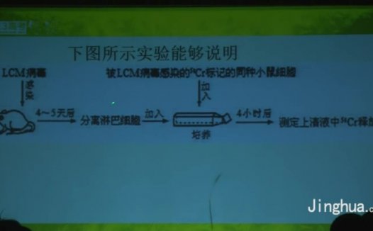 高考冲刺与实战 生物课 高考生物点“试”成金串讲 全1讲 视频教程