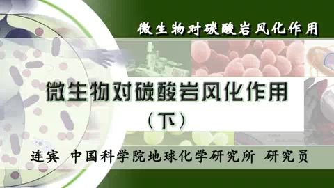 中国科学院 微生物对碳酸岩风化作用 全3讲 主讲-连宾 视频教程