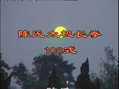 各式太极拳-太极扇-太极剑 爱好者必备 【陈氏太极长拳108式-王振华】200M DAT 视频教程
